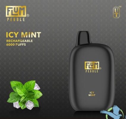 Flum Pebble Icy Mint 6000 puffs