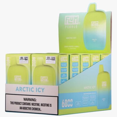 Artic Icy 6000 puffs 10 pack