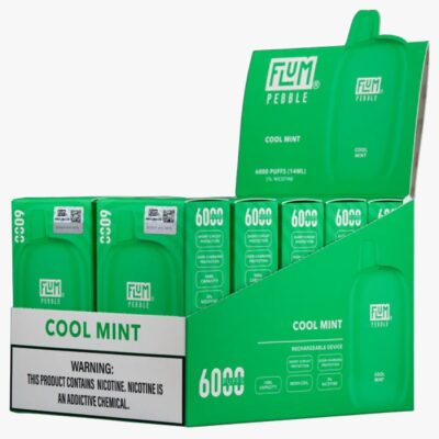 Cool Mint 6000 puffs 10 pack