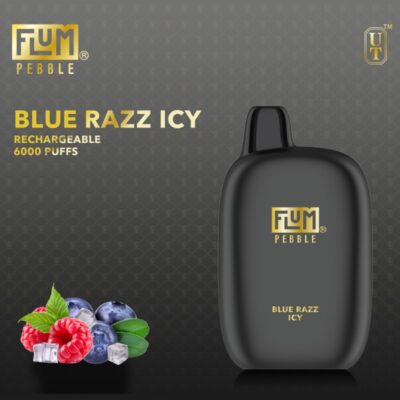 Flum Pebble Blue Razz Icy 6000 puffs