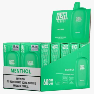 Menthol 6000 puffs 10 pack