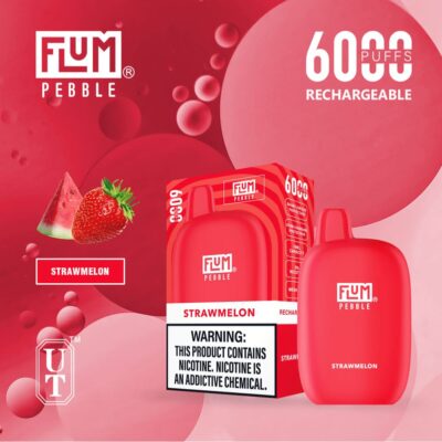 Flum Pebble Strawmelon 6000 puffs